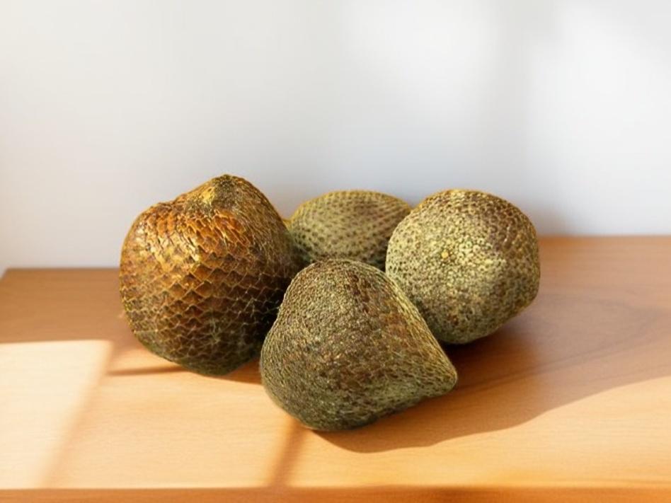 Salak snake fruit