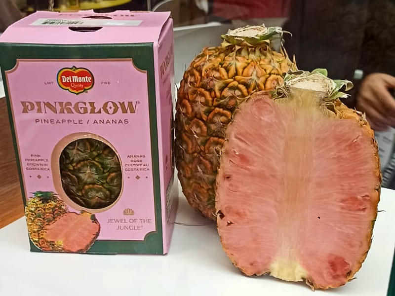 Pinkglow Pink Pineapple