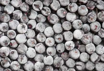 Черноплодка в заморозке. Черноплодная рябина замороженная. Черноплодка заморозить. Черноплодка заморозить. Черноплодная рябина замороженная.